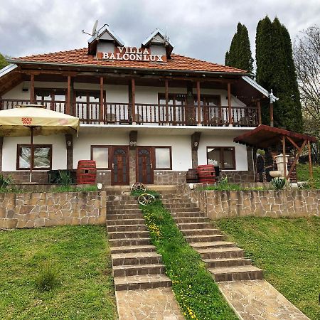 Villa Balconlux - Zavojsko Jezero, 피로트 외부 사진
