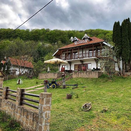 Villa Balconlux - Zavojsko Jezero, 피로트 외부 사진