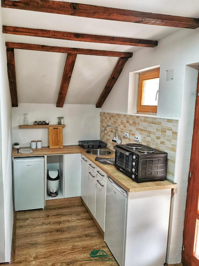 Villa Balconlux - Zavojsko Jezero, 피로트 외부 사진