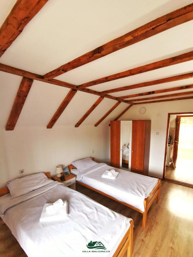 Villa Balconlux - Zavojsko Jezero, 피로트 외부 사진