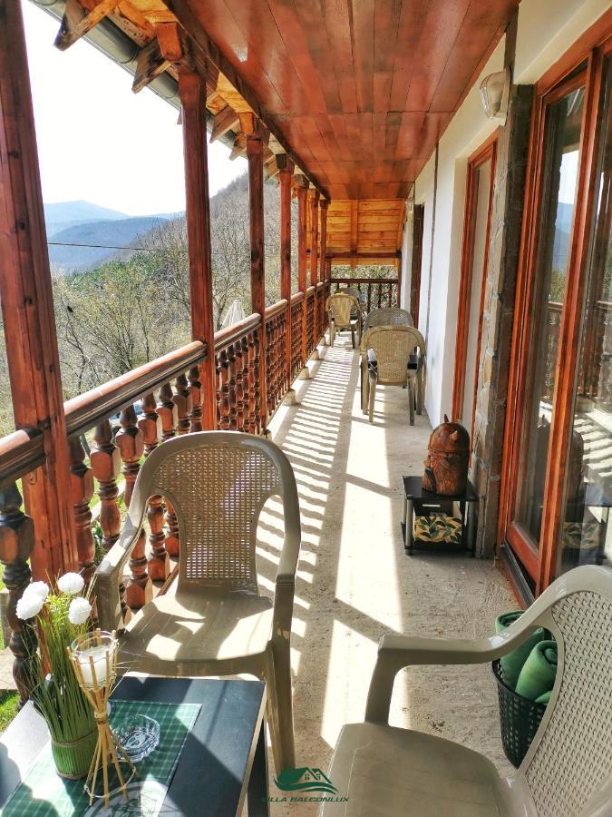 Villa Balconlux - Zavojsko Jezero, 피로트 외부 사진
