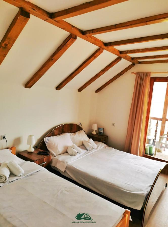 Villa Balconlux - Zavojsko Jezero, 피로트 외부 사진