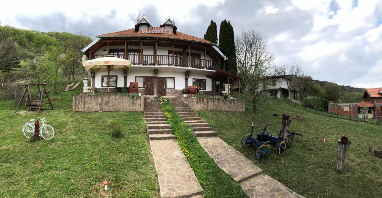 Villa Balconlux - Zavojsko Jezero, 피로트 외부 사진
