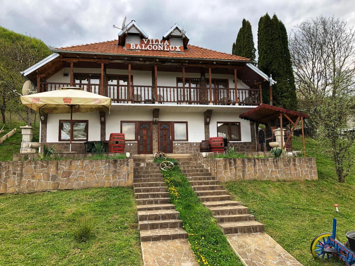 Villa Balconlux - Zavojsko Jezero, 피로트 외부 사진
